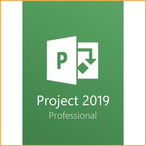 Project Professional 2019 Key - 1 PC
